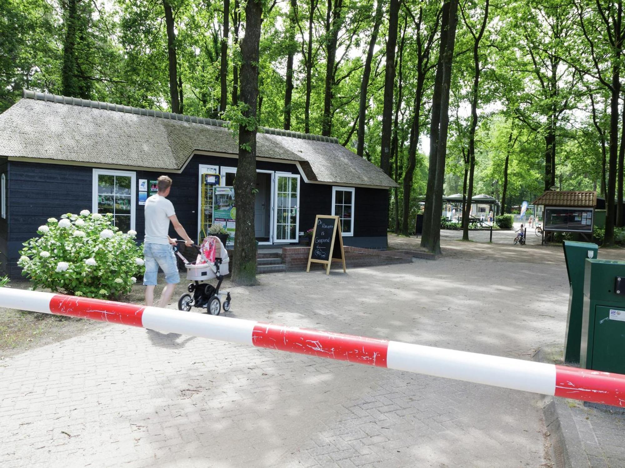 Chalet With Dishwasher, In Natural Environment IJhorst المظهر الخارجي الصورة