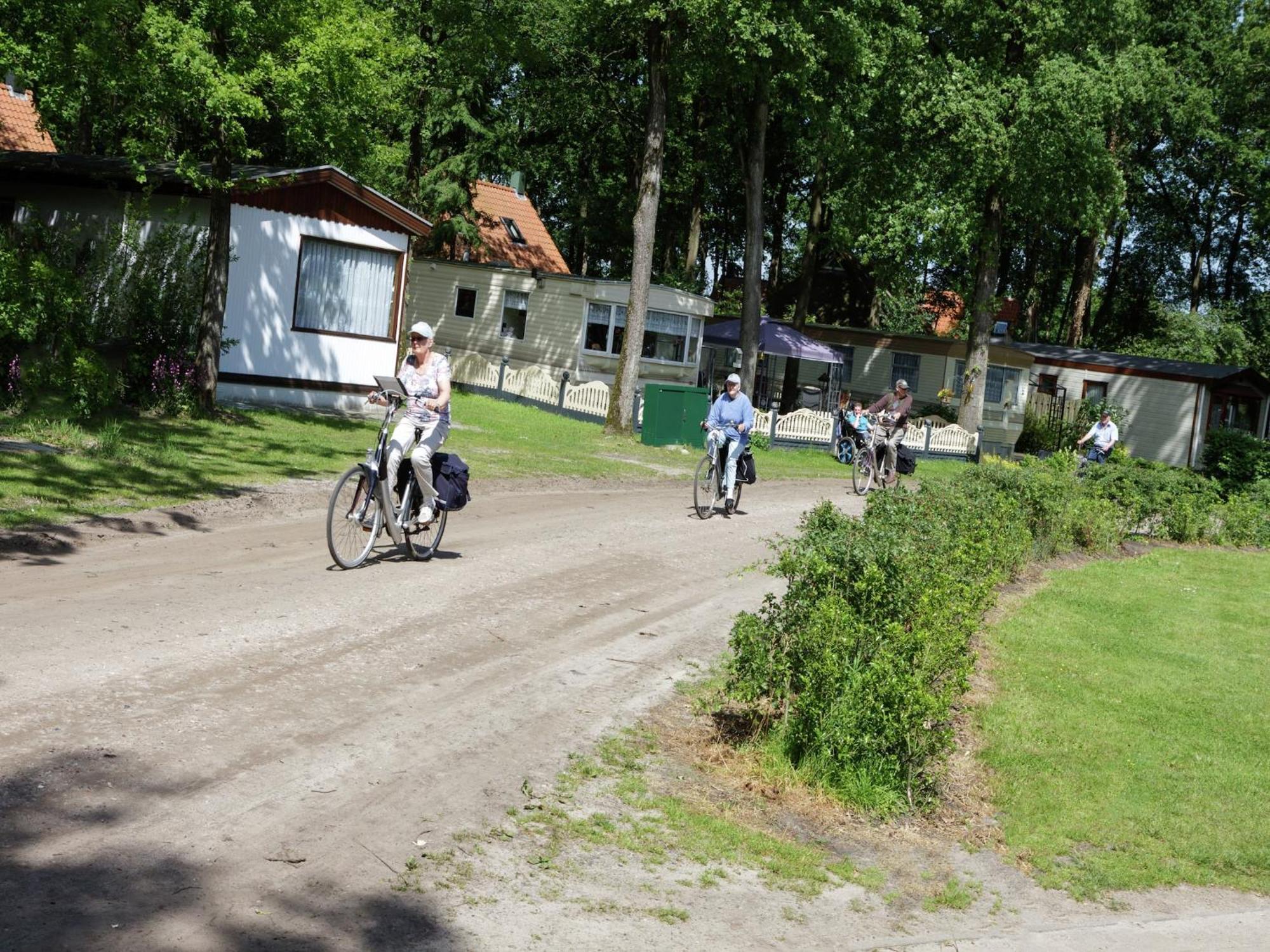 Chalet With Dishwasher, In Natural Environment IJhorst المظهر الخارجي الصورة